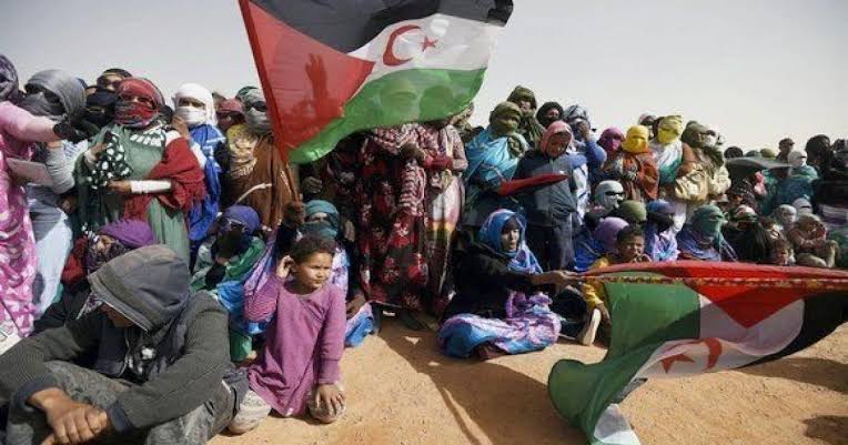 الأمم المتحدة تؤكد أن الصحراء الغربية لا تزال إقليماً غير مستقل وإسبانيا مسؤولة قانونياً عن تصفية الاستعمار